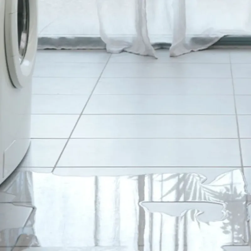 Appliance Leak Cleanup in Waveland, MS
