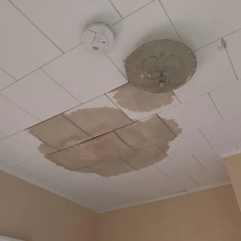 Ceiling Water Damage Repair in Waveland, MS