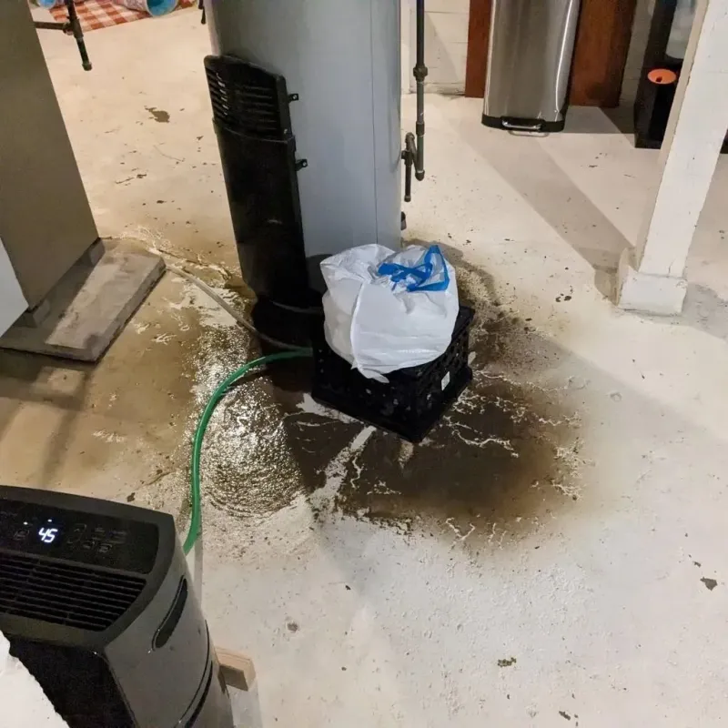 Sewage Backup Cleanup Service in Waveland, MS